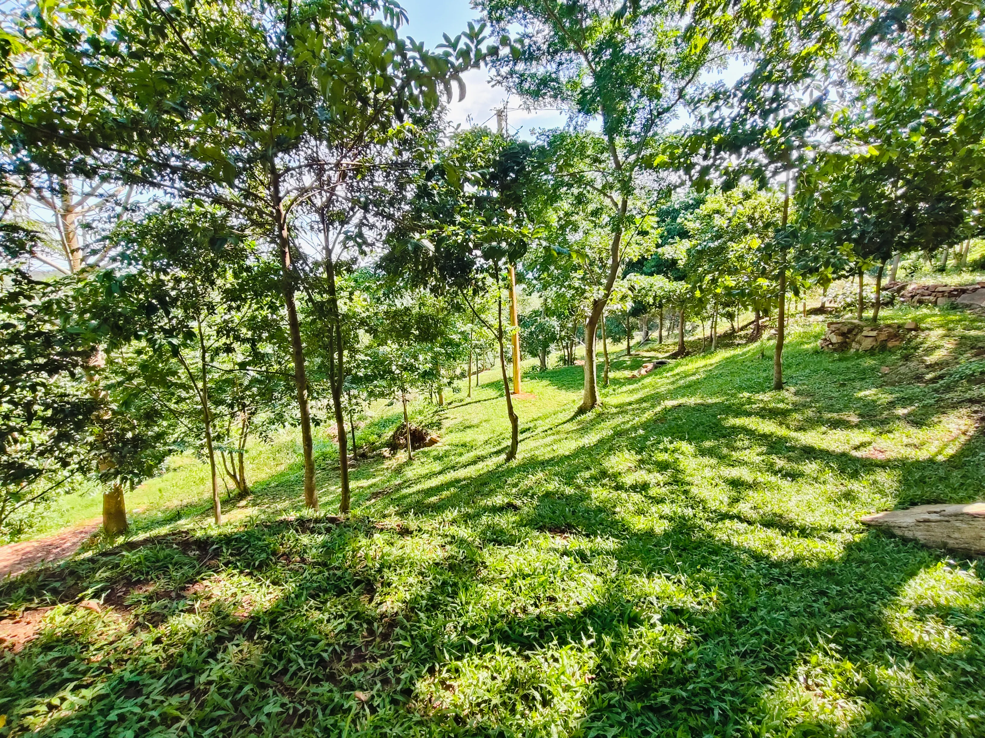Book your stay at Munrobe Nature Resort